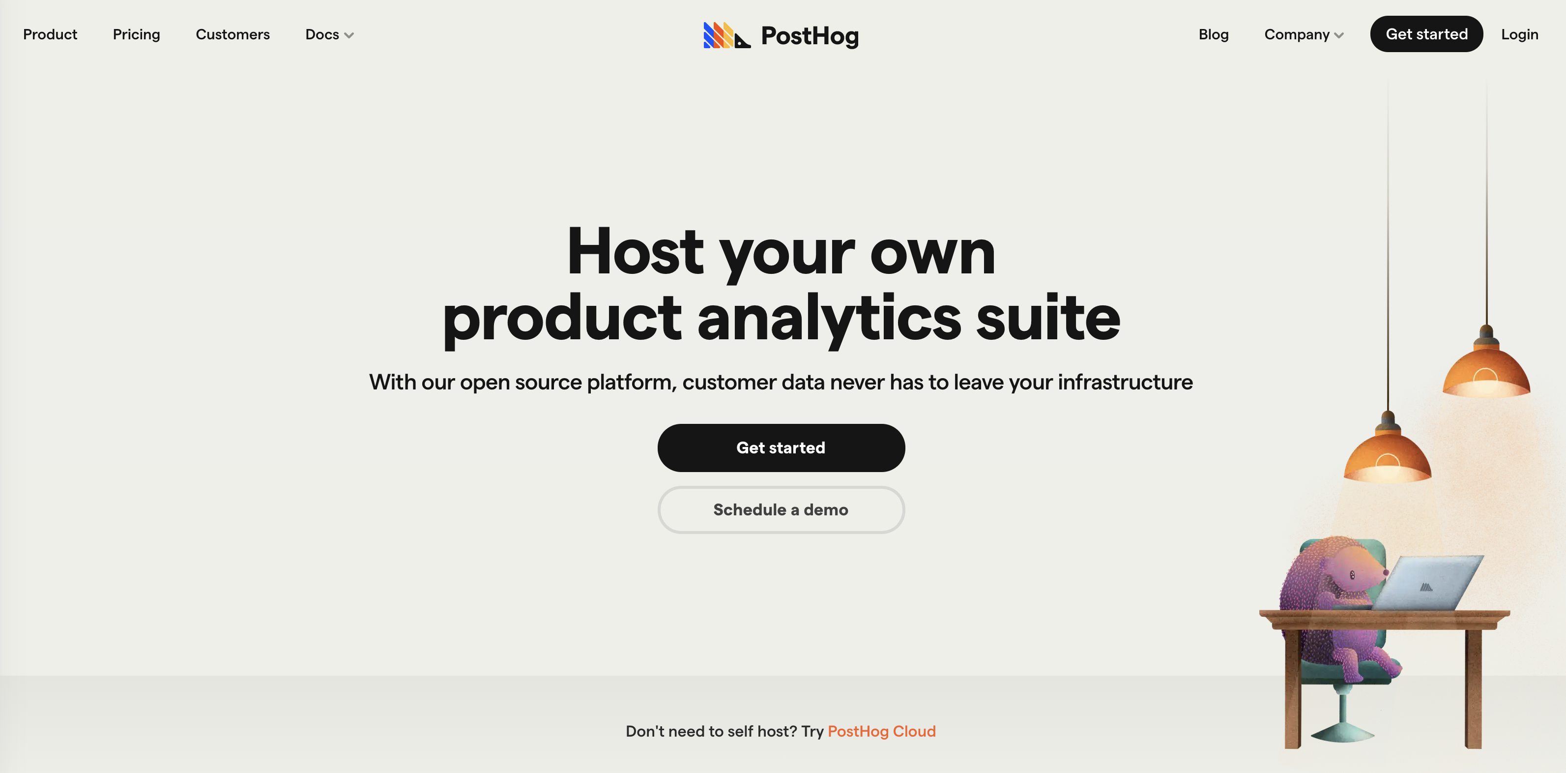 PostHog Homepage